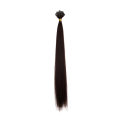 100% Human Virgin Hair Unprocessed Brazilian Straight Hair Feather Hair Extension Remy Hair